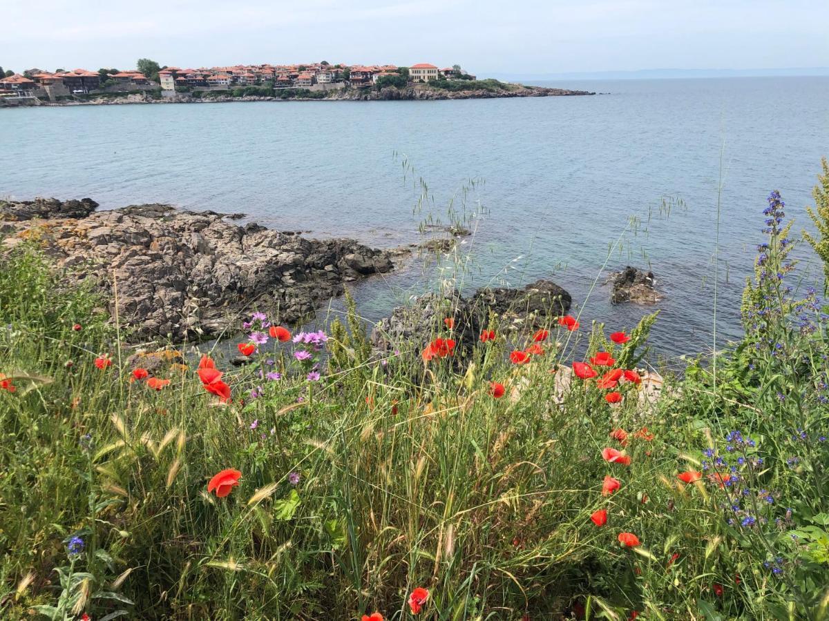 Apartament Blue Infinity Sozopol Zewnętrze zdjęcie